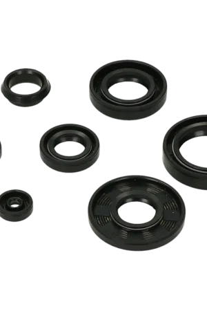 Keerringset DMP compleet voor Yamaha FS1 DX Gratis Retour