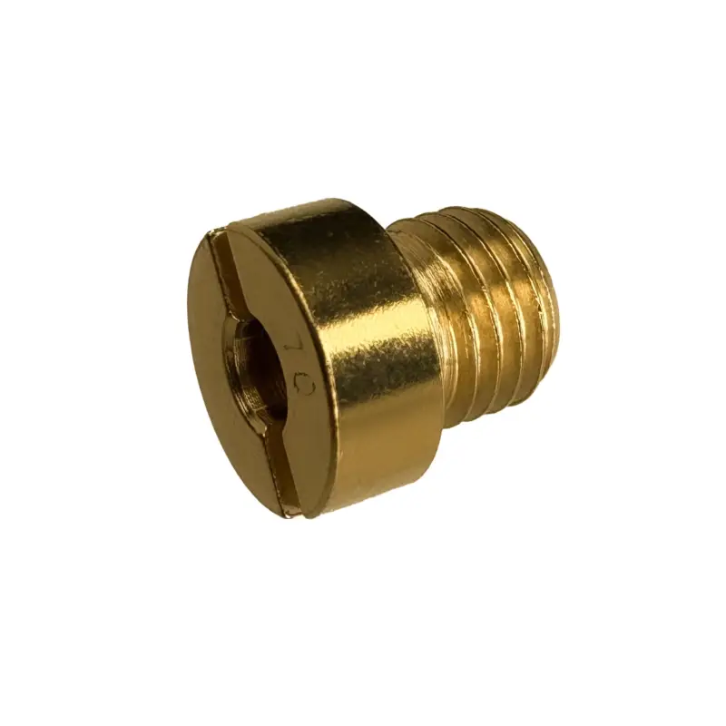 Beste Prijs Hoofdsproeiers Dellorto groot (6mm) - alle maten