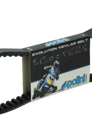 Premium V-Snaar Polini Speed Belt Kevlar Gilera & Piaggio Lang model
