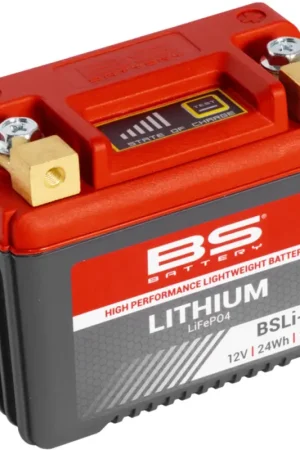 Lage Kosten BS Battery Lithium-ion batterij - BSLI-02