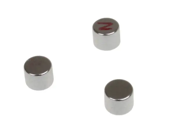 Alleen Vandaag Koso - Magneten6x5mm (3 Stuks)