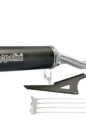 Polini - UitlaatVespa Primavera, Sprint 125 -150cc 4 Takt 3V Weekendaanbieding